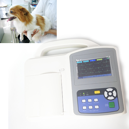 Veterinary ECG Machine